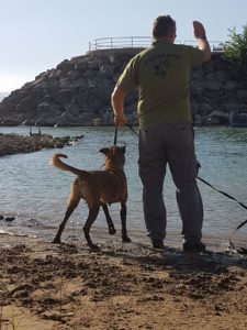 צילום: דוברות יחידת יכ"ל