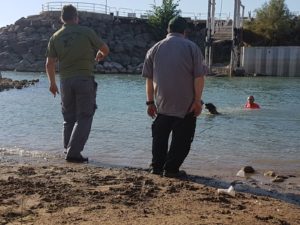 צילום: דוברות יחידת יכ"ל