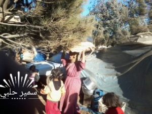 מחנה פליטים 10 מטר מגבול ישראל. צילום: סמיר חלבי ישראל ניוז