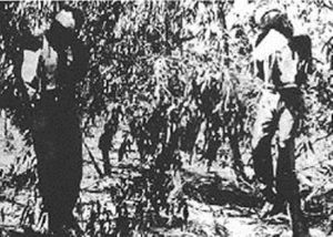 האצל חוטפים 5 קצינים בריטים