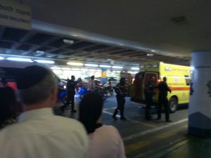 צילום: מד"א