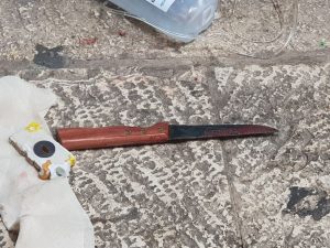 צילום: דוברות המשטרה
