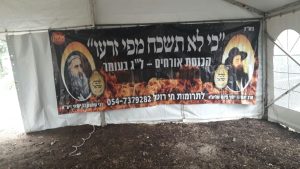 צילום: ישראל ניוז