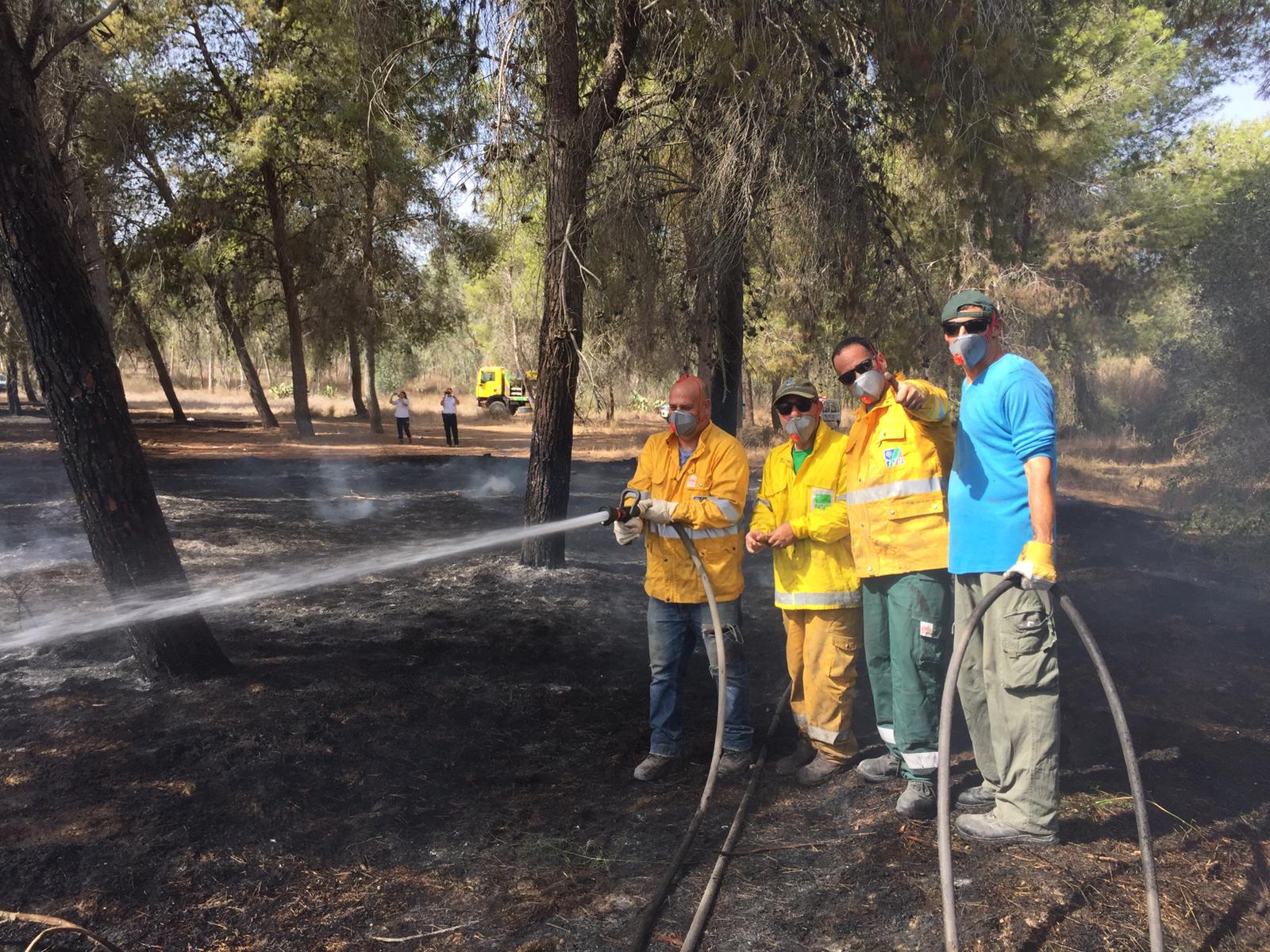 הכבאים בעבודה בגברעם צילום: רן לוי ישראל ניוז