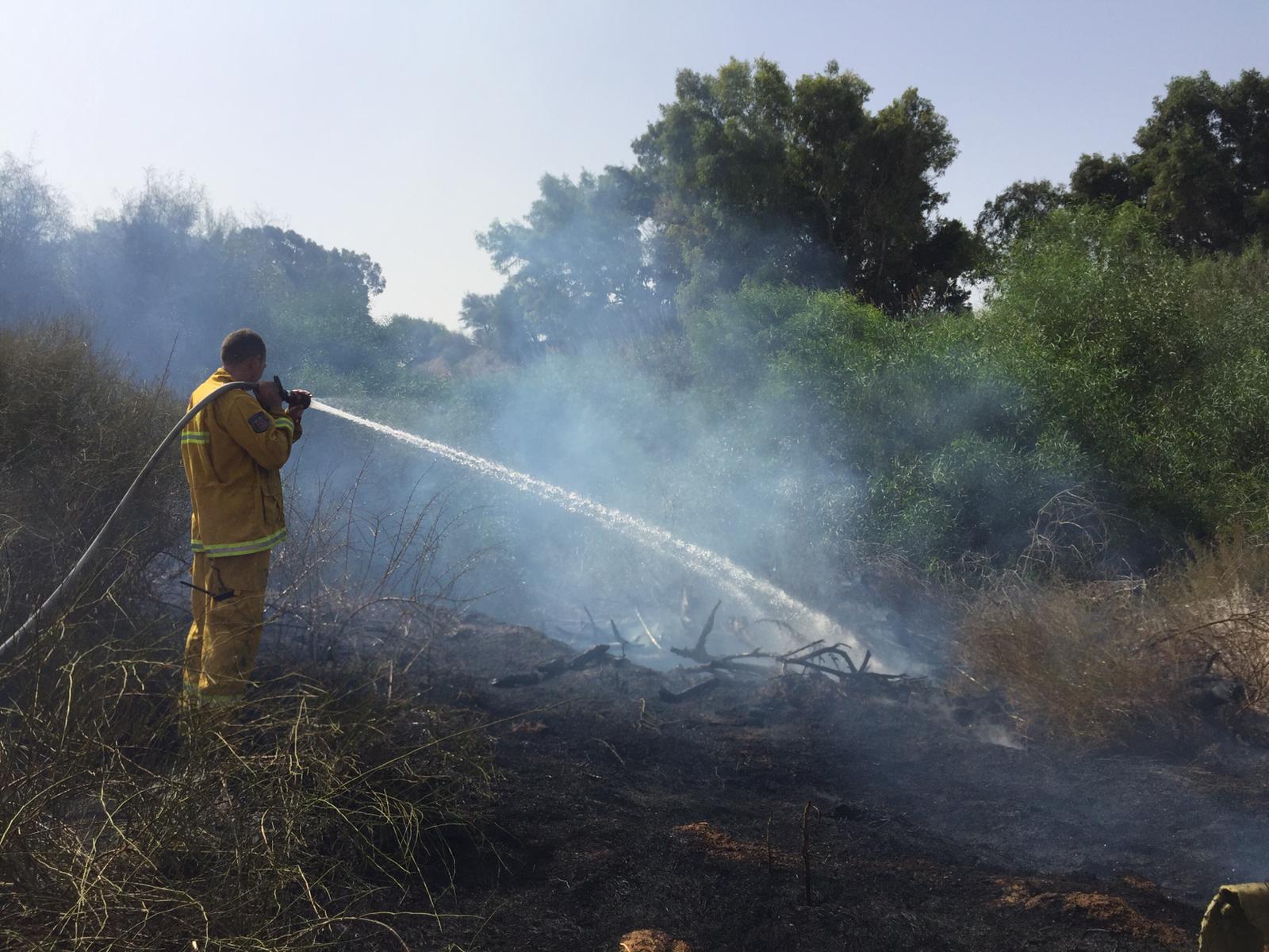 ואדי שקמה צילום: רן לוי ישראל ניוז