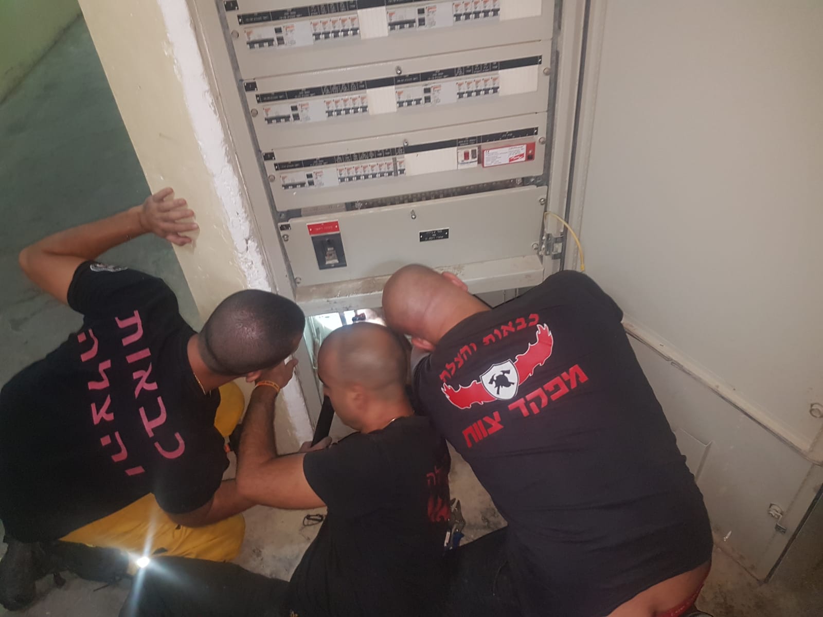 הכבאים מחלצים את החתול