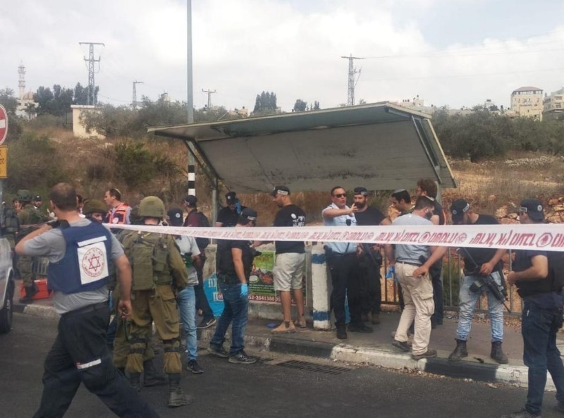 צילום: אלעד שרווינטר
