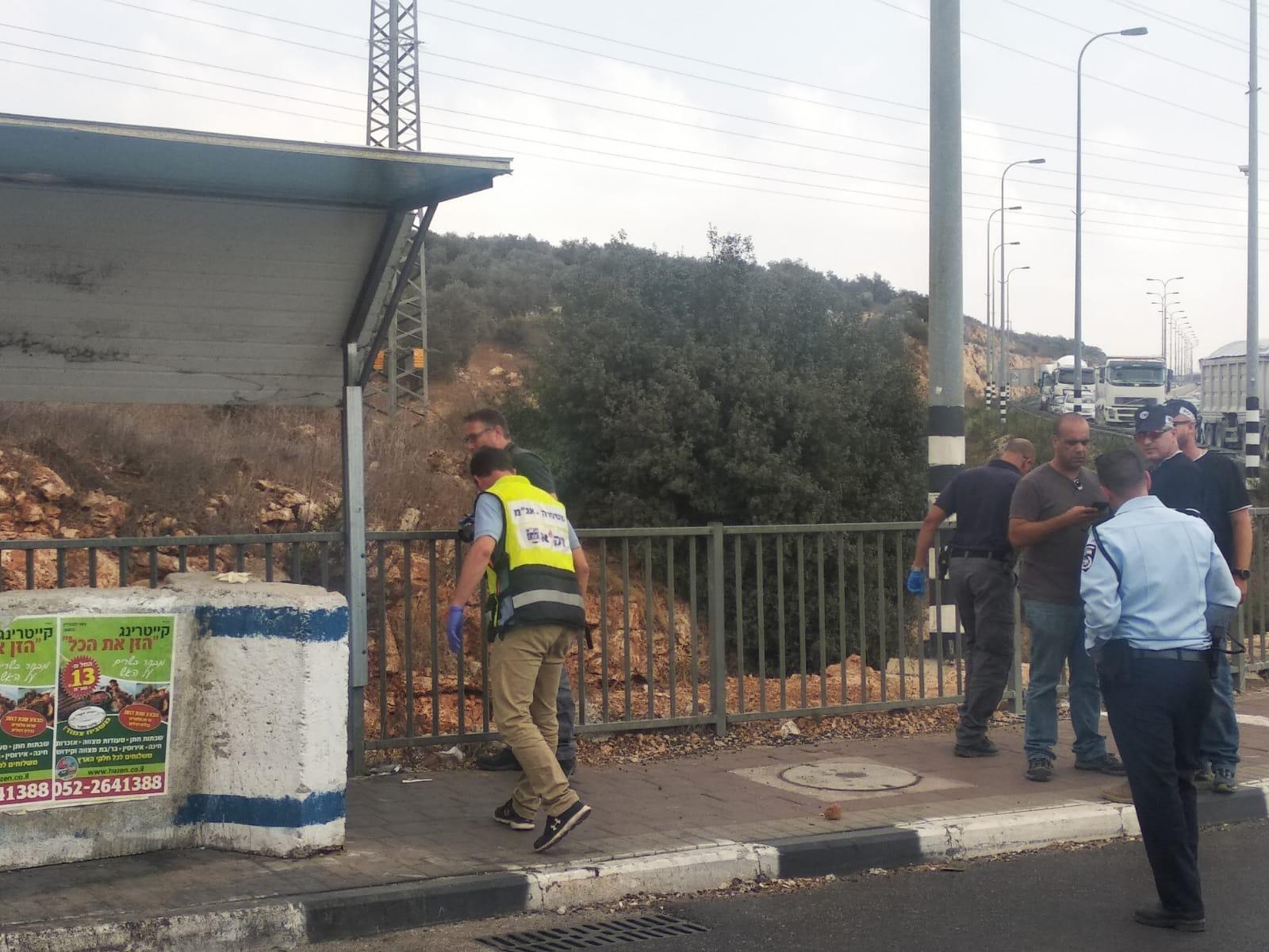 צילום: אלעד שרווינטר