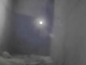 צילום: דו"צ