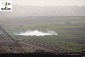 צילום: רן לוי ישראל ניוז