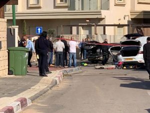 צילום: רן לוי ישראל ניוז
