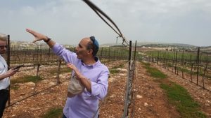 צילום: גילעד הדרי ישראל ניוז