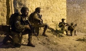 צילום: דו"צ