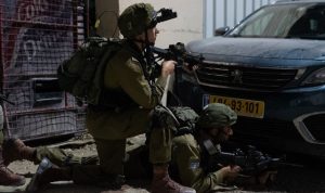 צילום: דו"צ