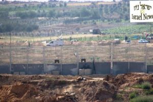 צילום: רן לוי ישראל ניוז