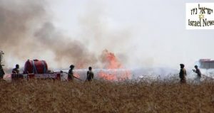 צילום: רן לוי ישראל ניוז