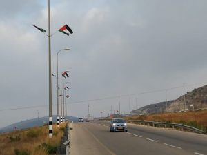 דוד שייר