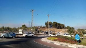 צילום: TPS/אריה סביר