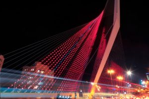גשר המיתרים בירושלים צילום: תמיר חיון