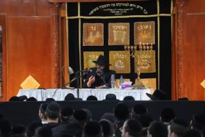 צילום | שלמה טריכטר